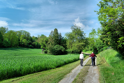 Kreuzweg Nhe Feldkirchle. Klicken Sie, um ein greres Bild zu sehen. (c) Dieter Mller