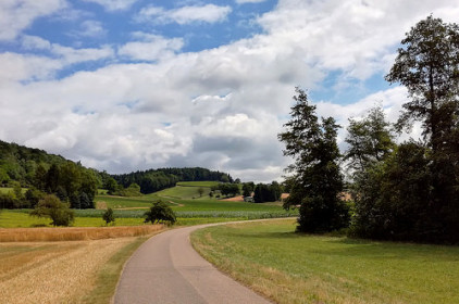 Der Heidelsheimer Weg. Klicken Sie, um das Bild zu vergrern.