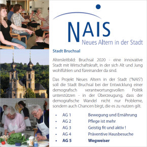 NAIS-Flyer Seite 1. Klicken Sie.